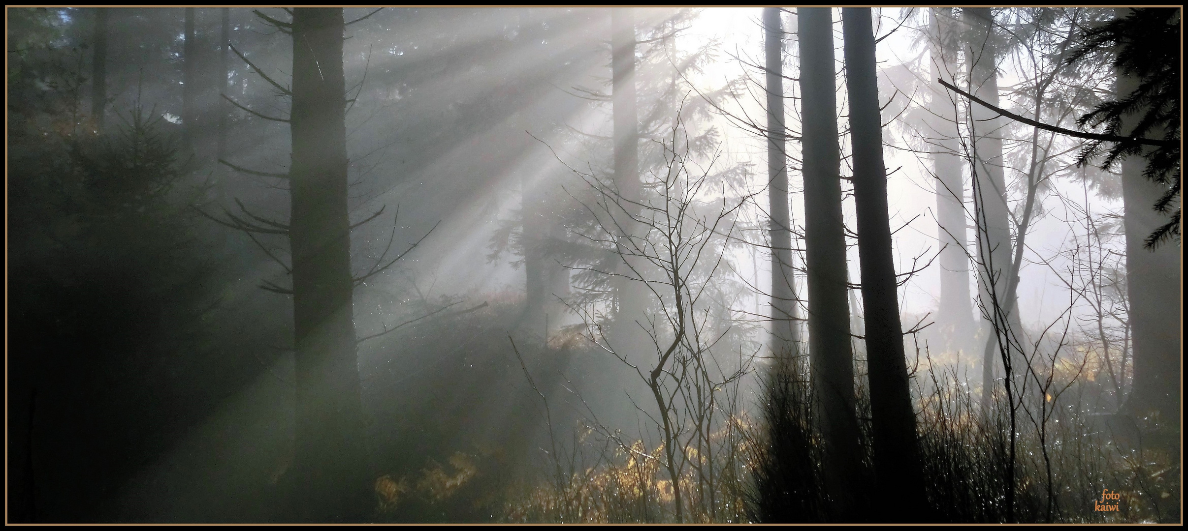 Herbstnebel?