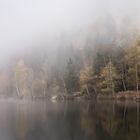 Herbstnebel