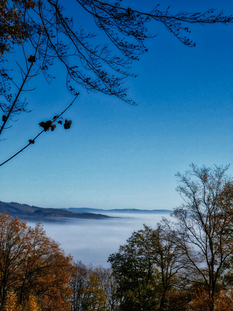 Herbstnebel