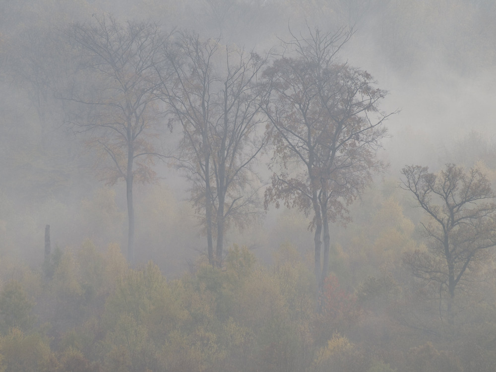 Herbstnebel