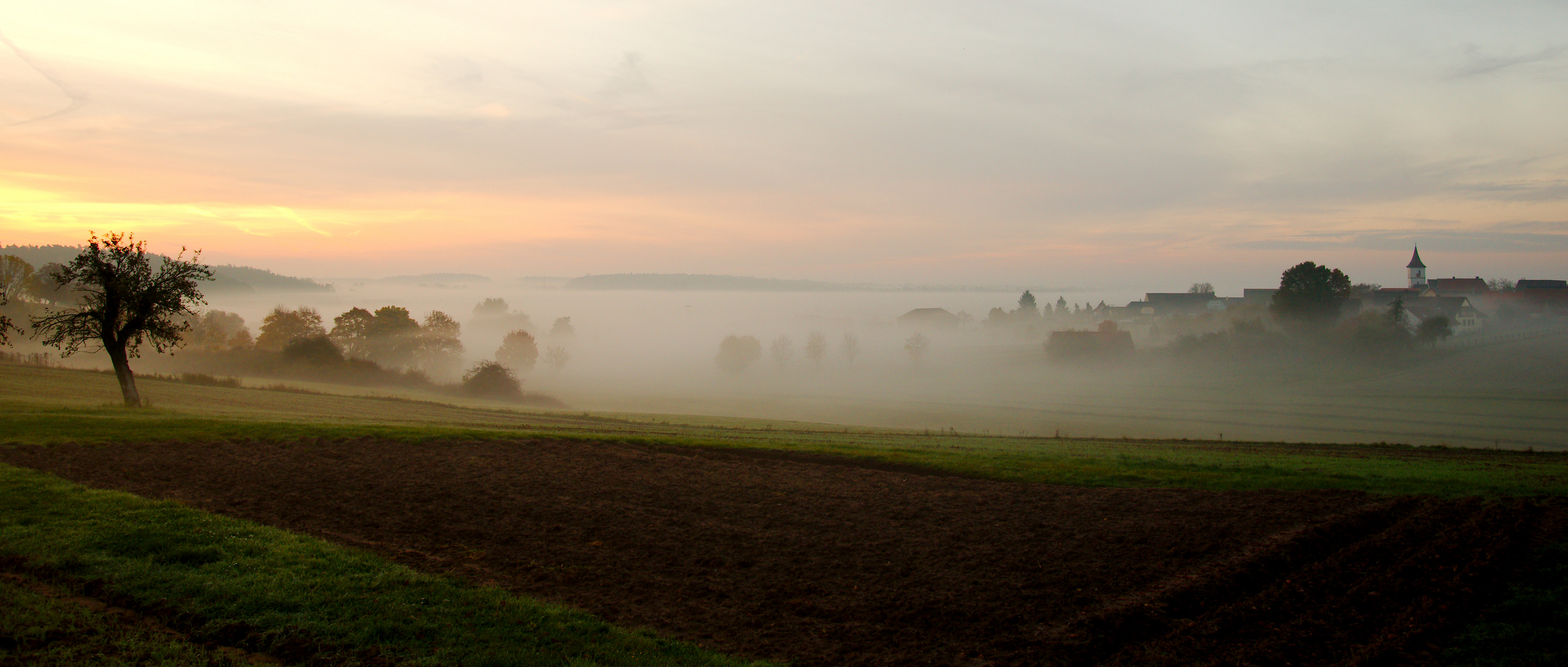 Herbstnebel 2