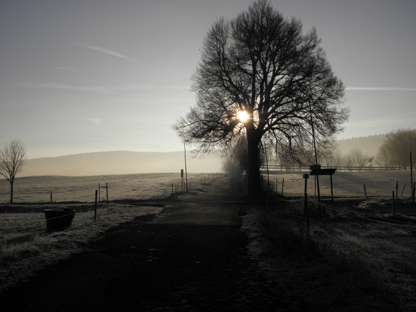 Herbstnebel 2