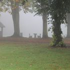 Herbstnebel 2011