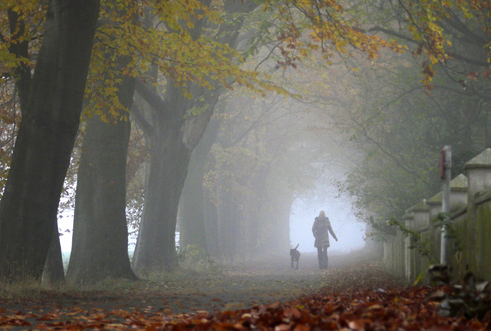 Herbstnebel  