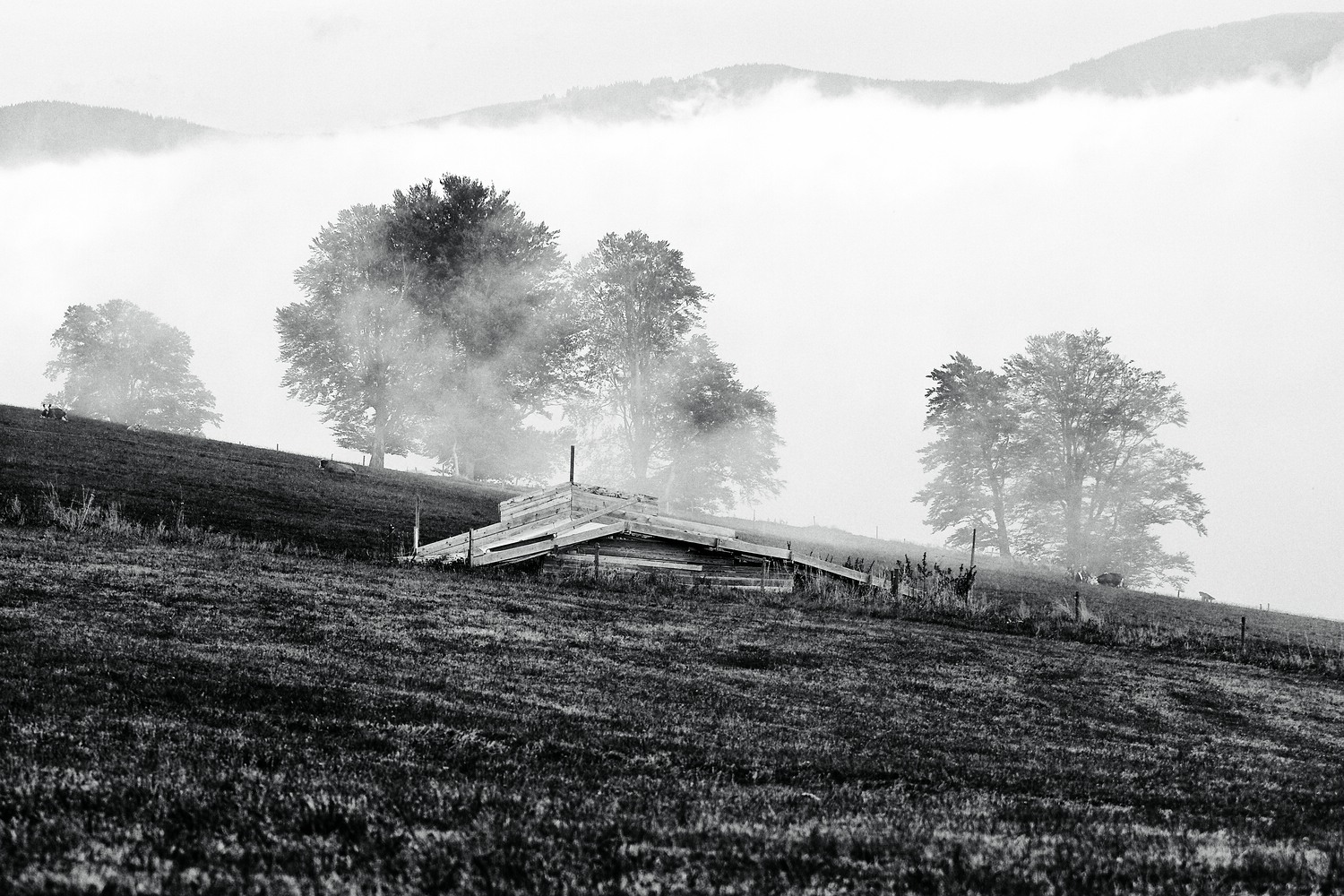 Herbstnebel