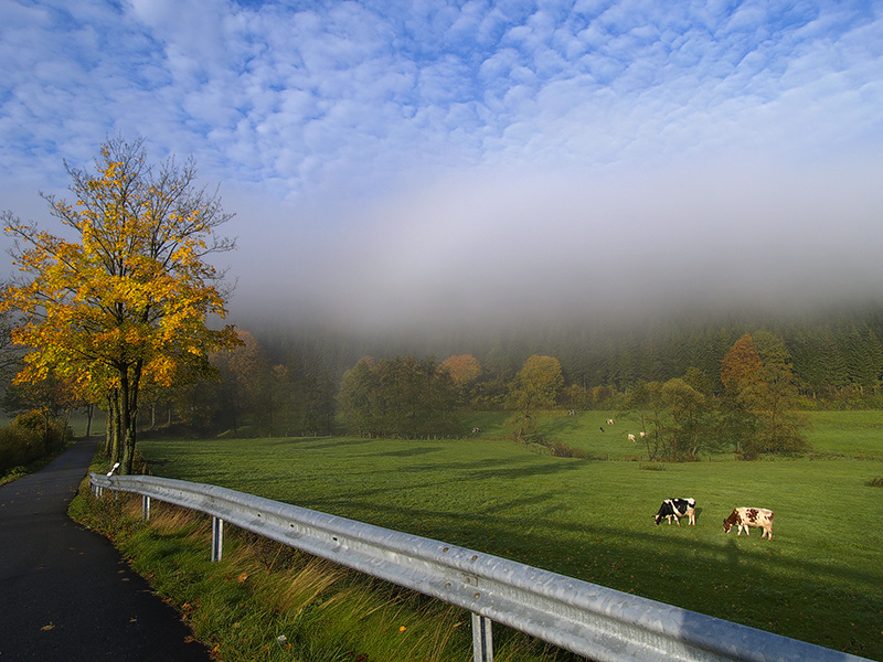 Herbstnebel