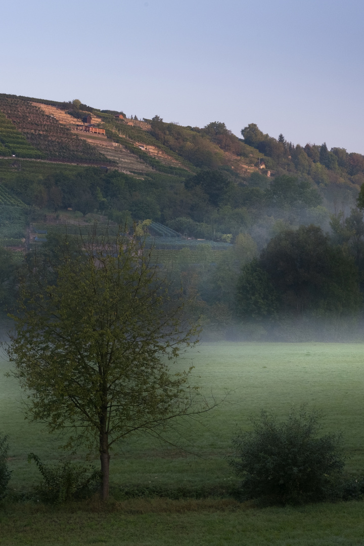 Herbstnebel