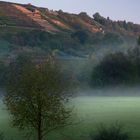 Herbstnebel