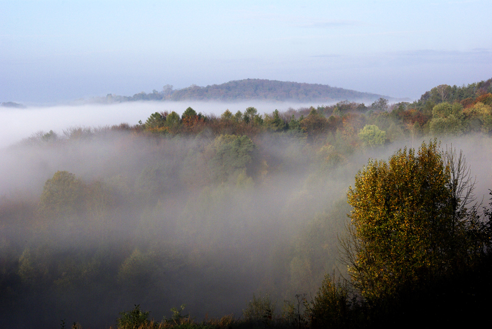 Herbstnebel