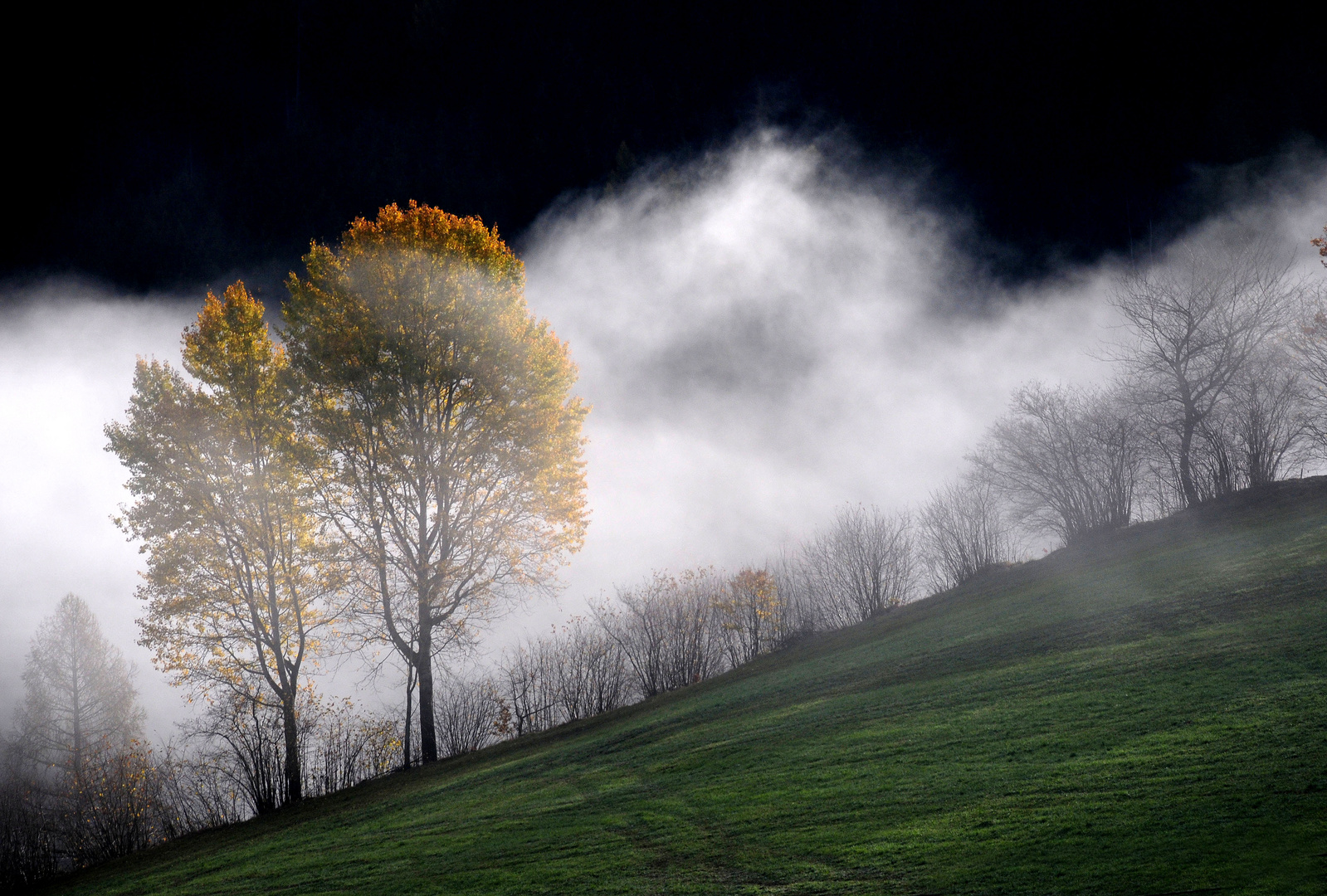 Herbstnebel