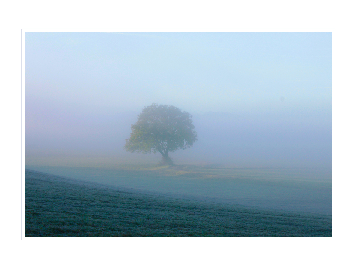 Herbstnebel ...