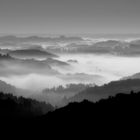 Herbstnebel