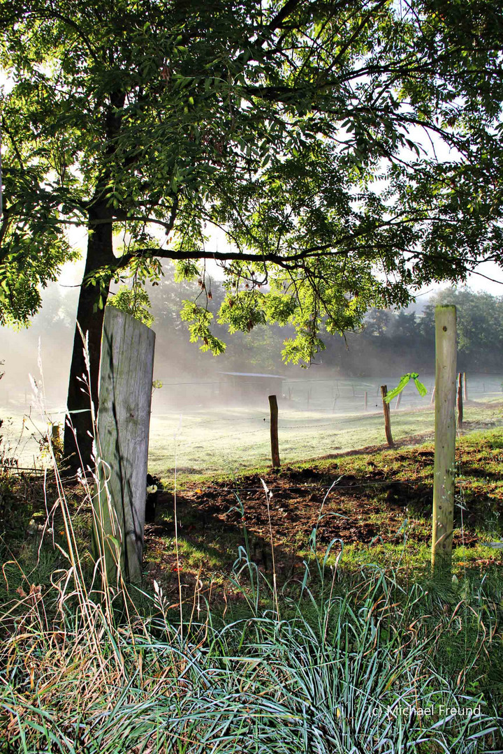 Herbstnebel