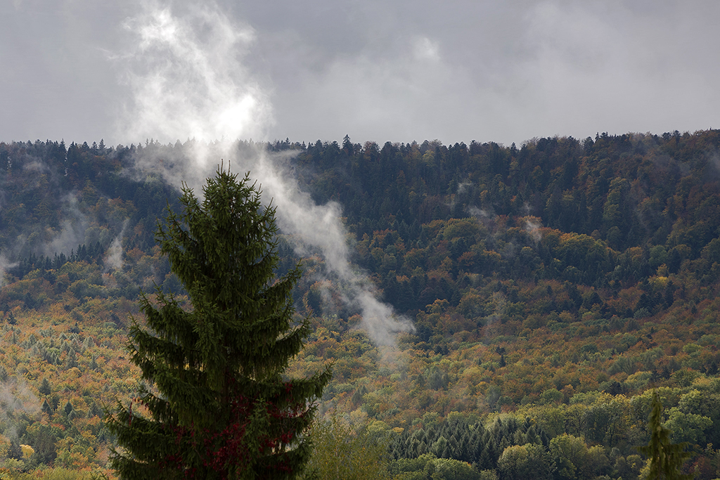 Herbstnebel