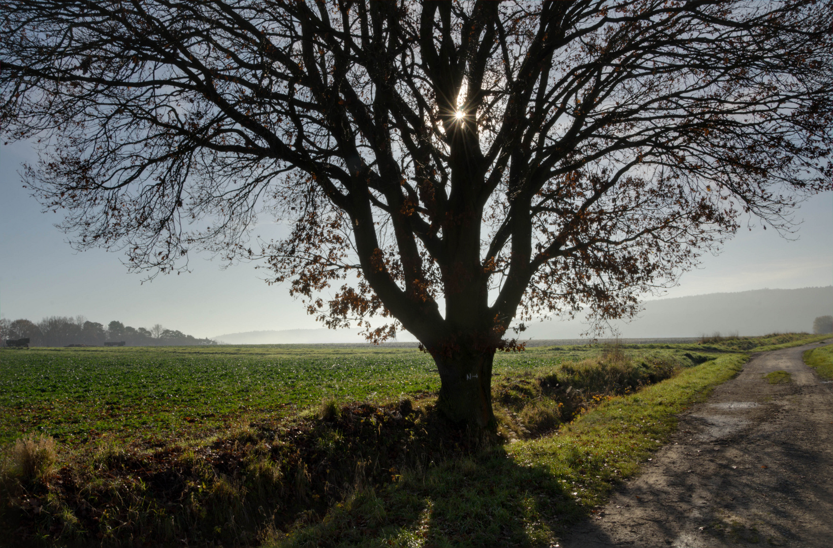 Herbstnebel