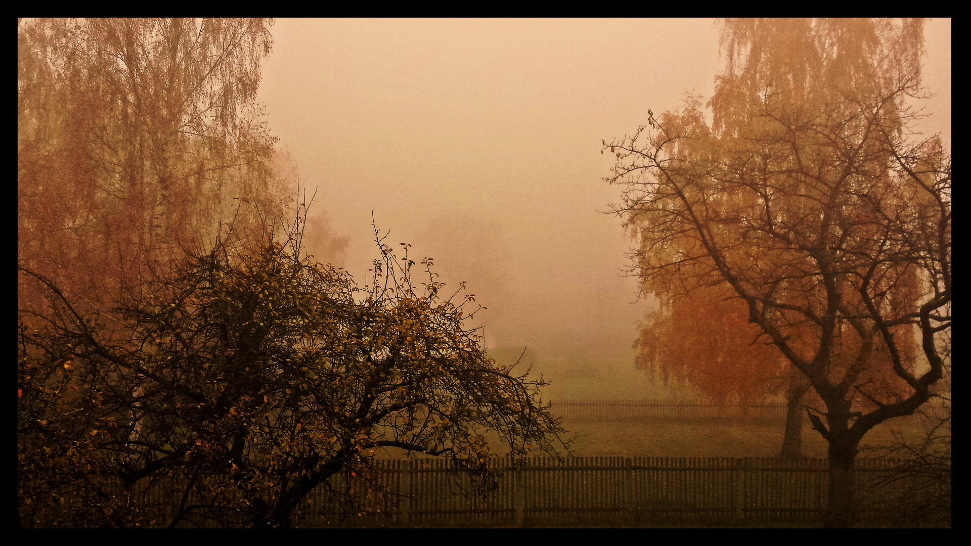 Herbstnebel