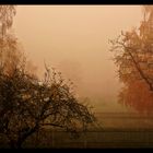 Herbstnebel