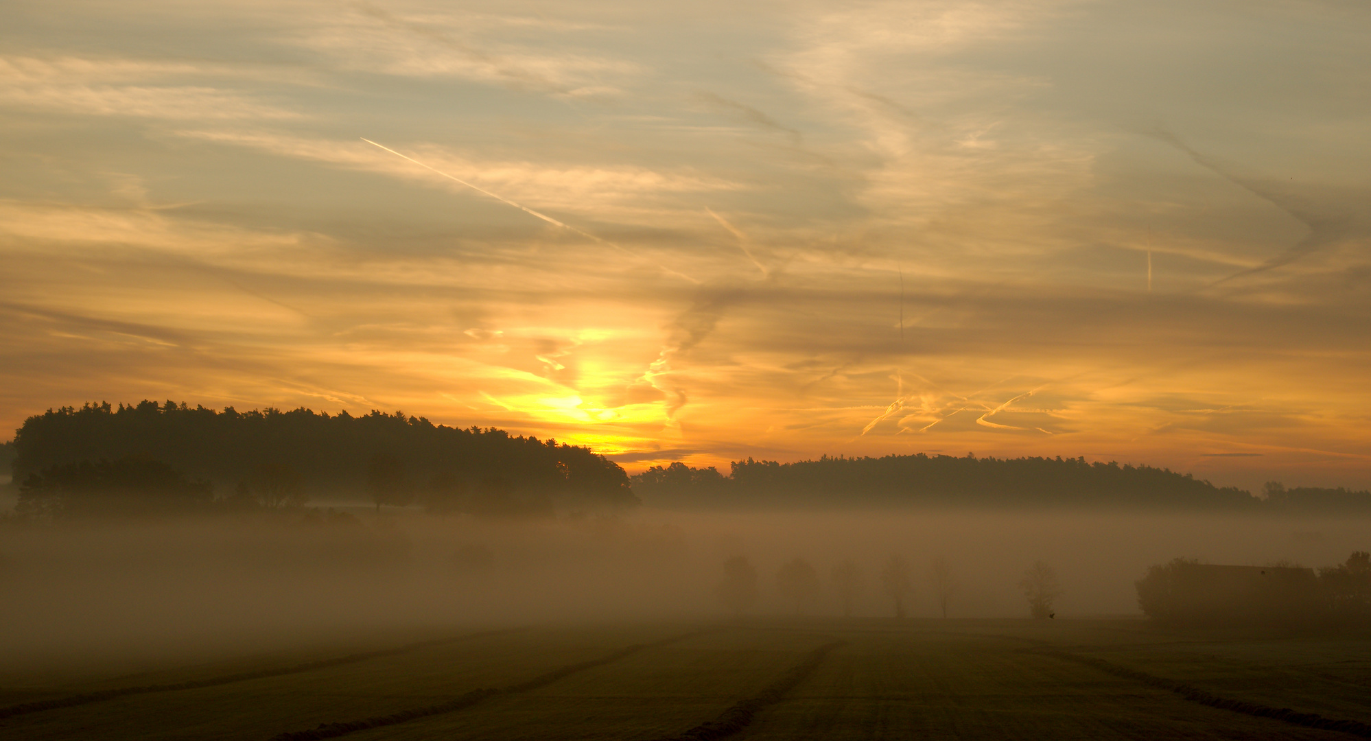 Herbstnebel 3