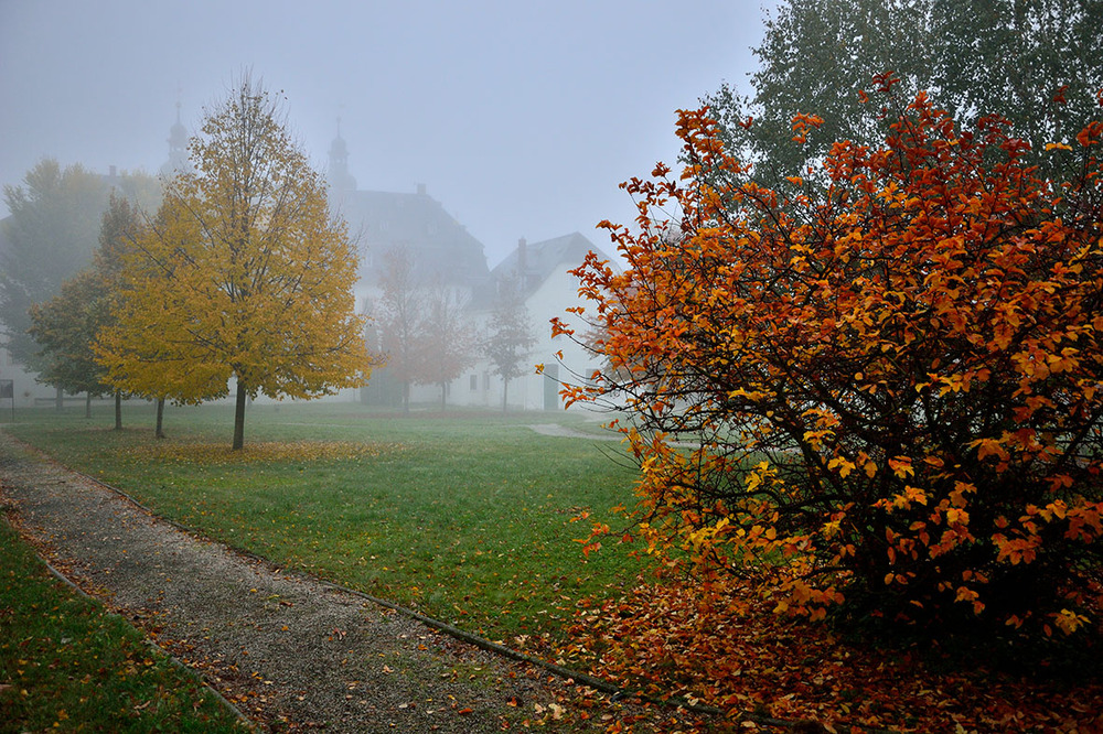 Herbstnebel 3