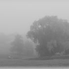 Herbstnebel 3