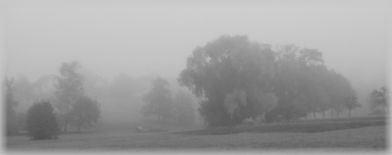 Herbstnebel 3