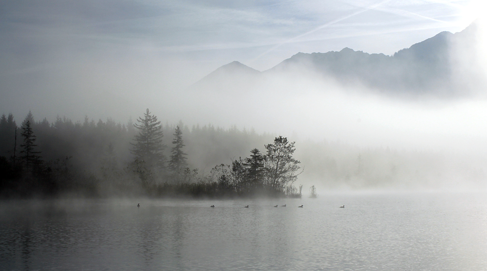 Herbstnebel