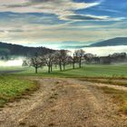 Herbstnebel