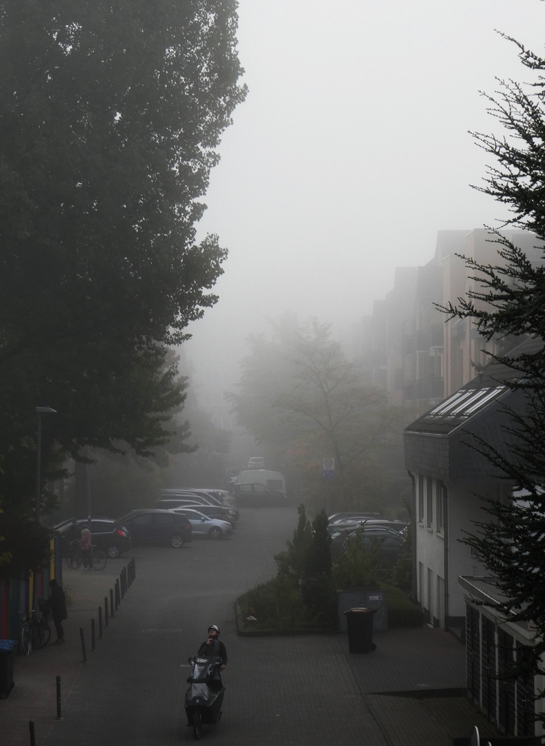 Herbstnebel