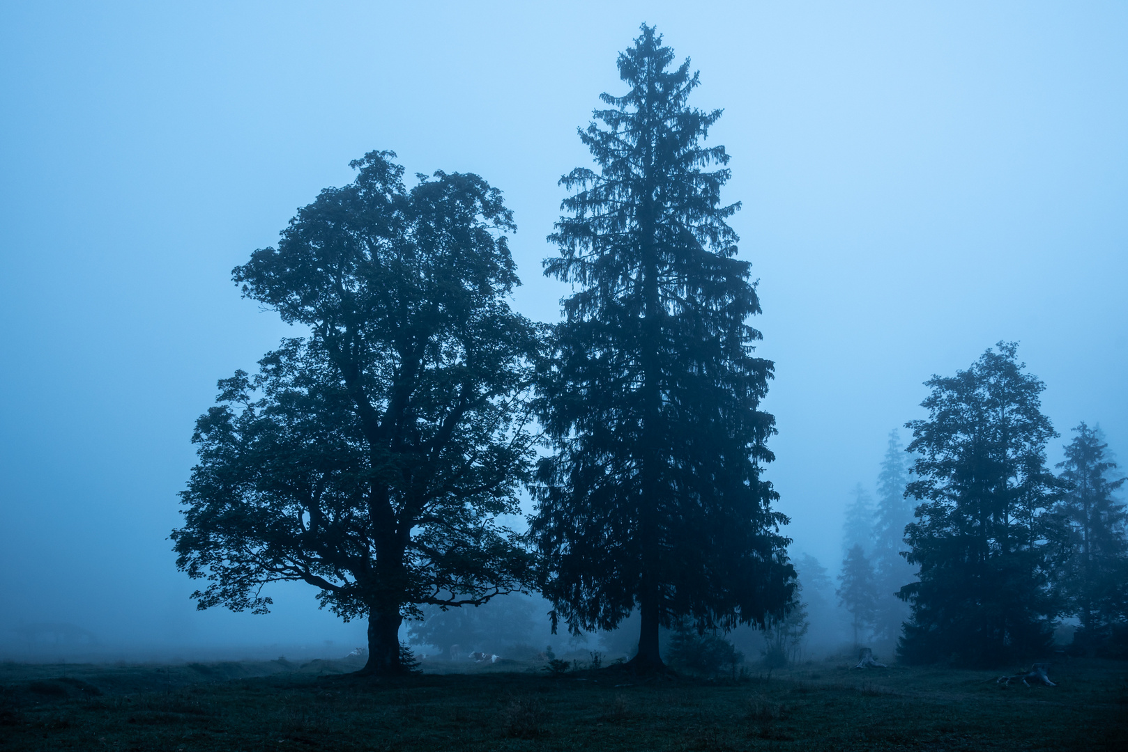 Herbstnebel