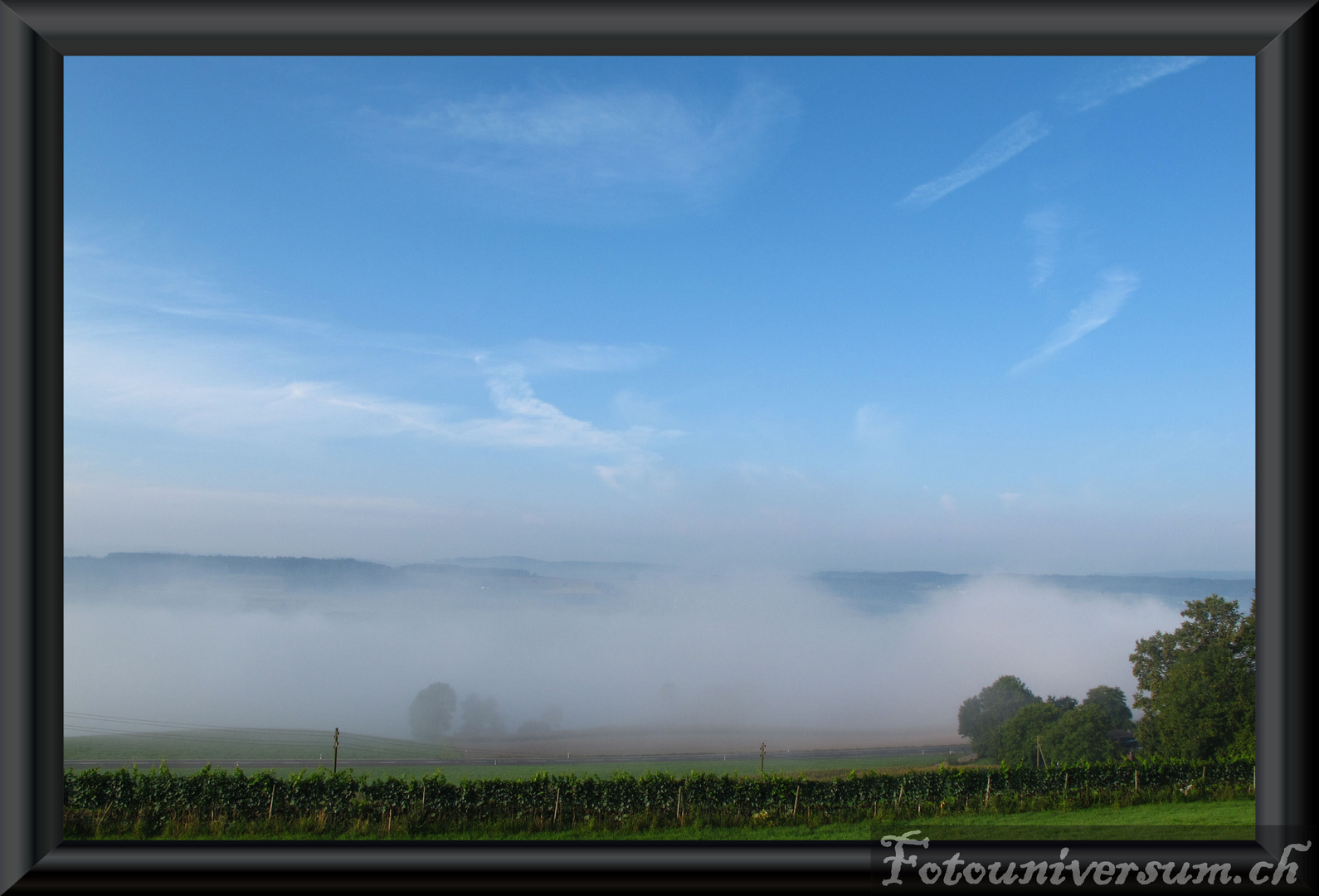 Herbstnebel