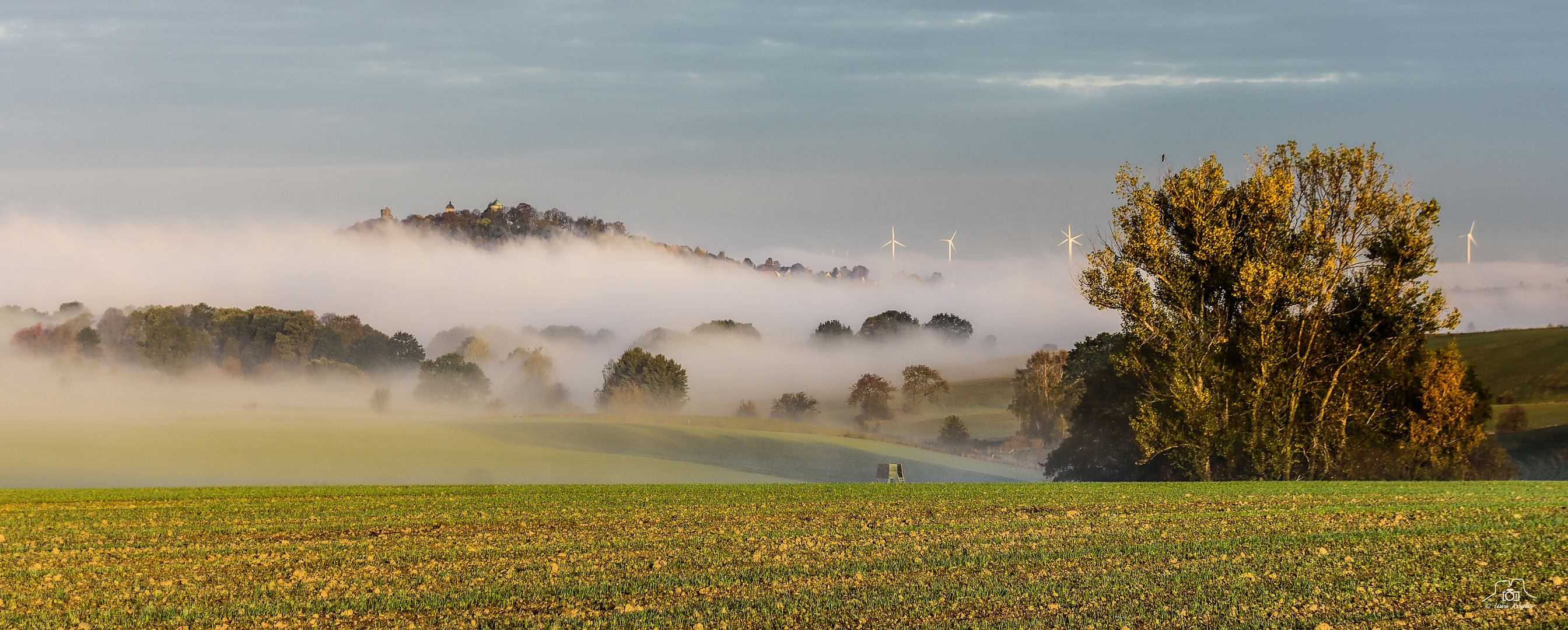 Herbstnebel  