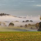 Herbstnebel  