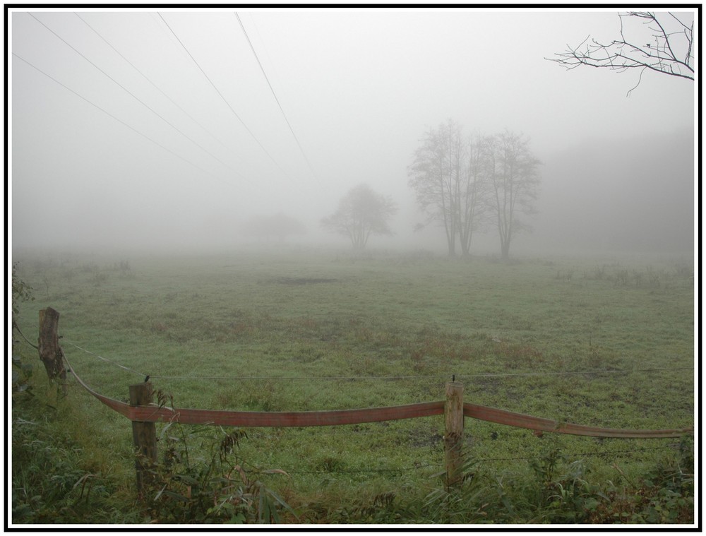 Herbstnebel