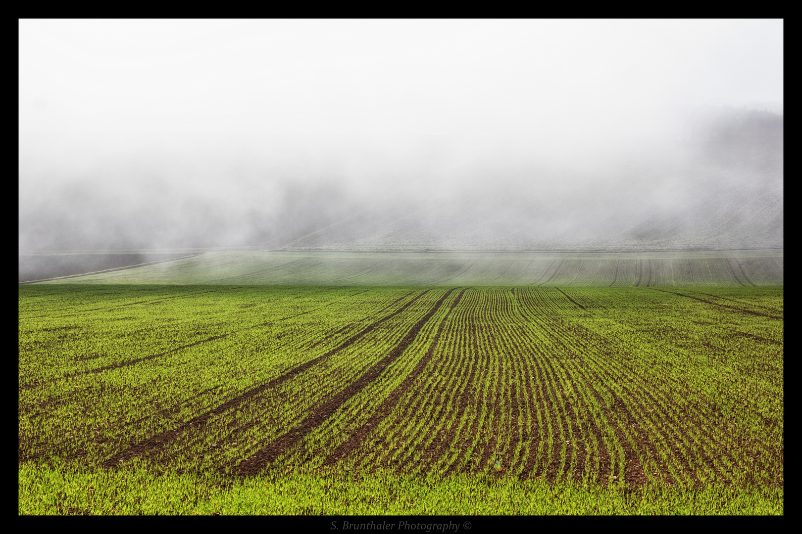 Herbstnebel