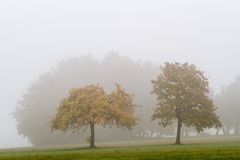 Herbstnebel