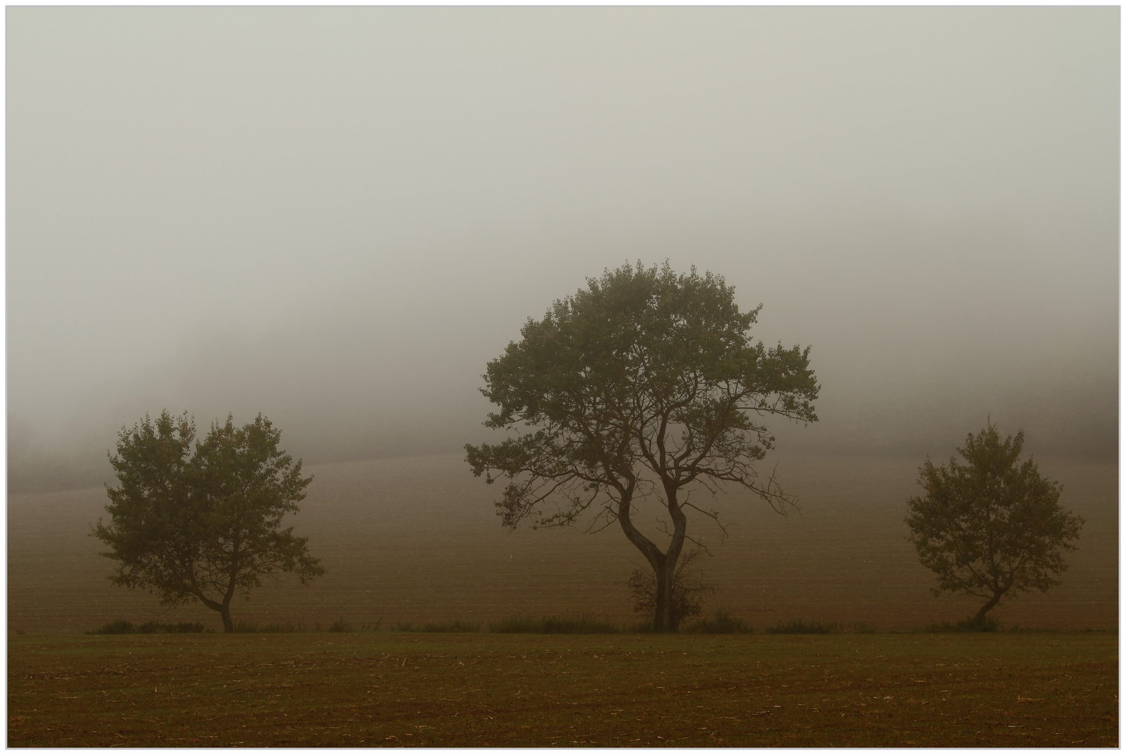 Herbstnebel