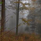 Herbstnebel