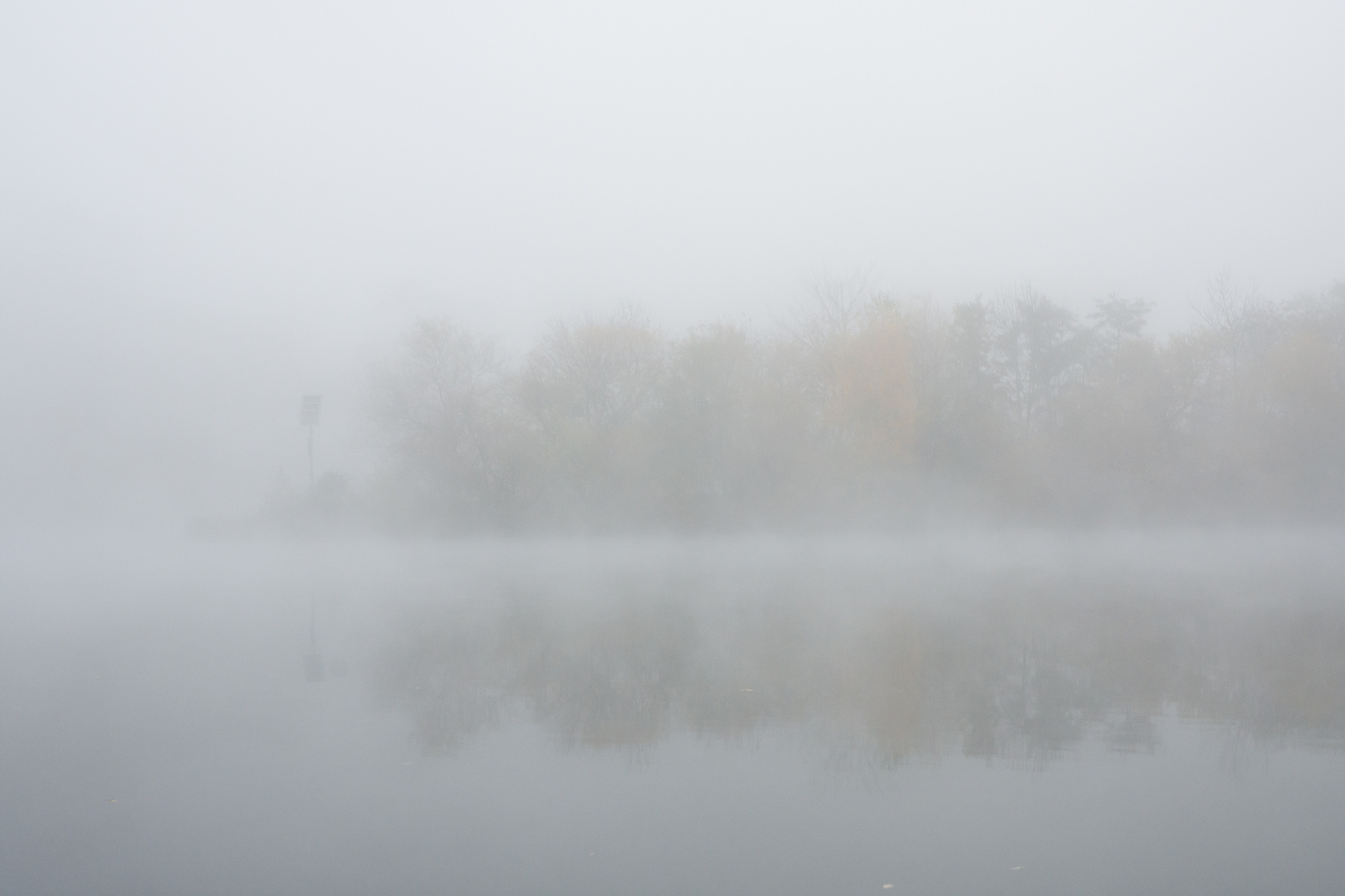 ~ Herbstnebel ~