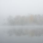 ~ Herbstnebel ~