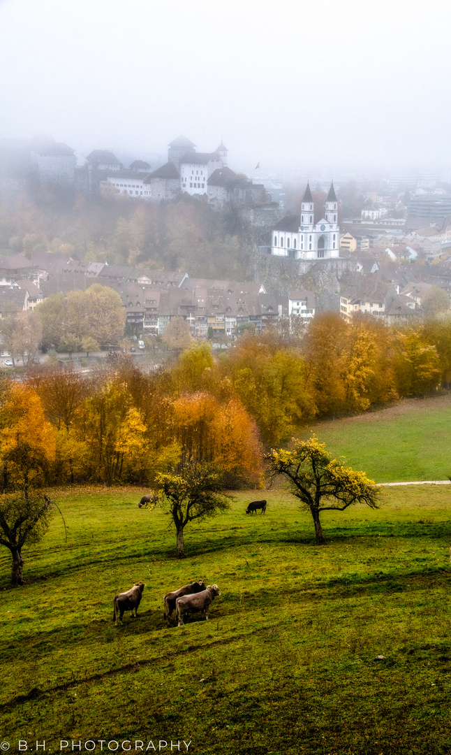 Herbstnebel