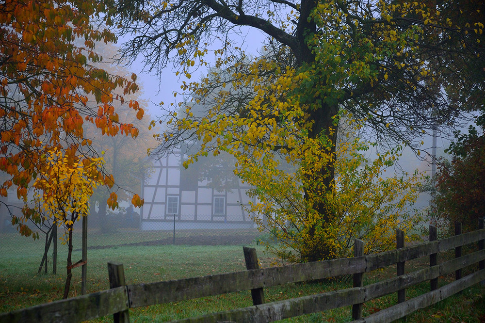 Herbstnebel 4