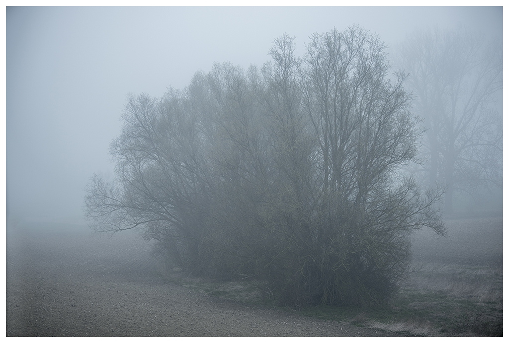 Herbstnebel