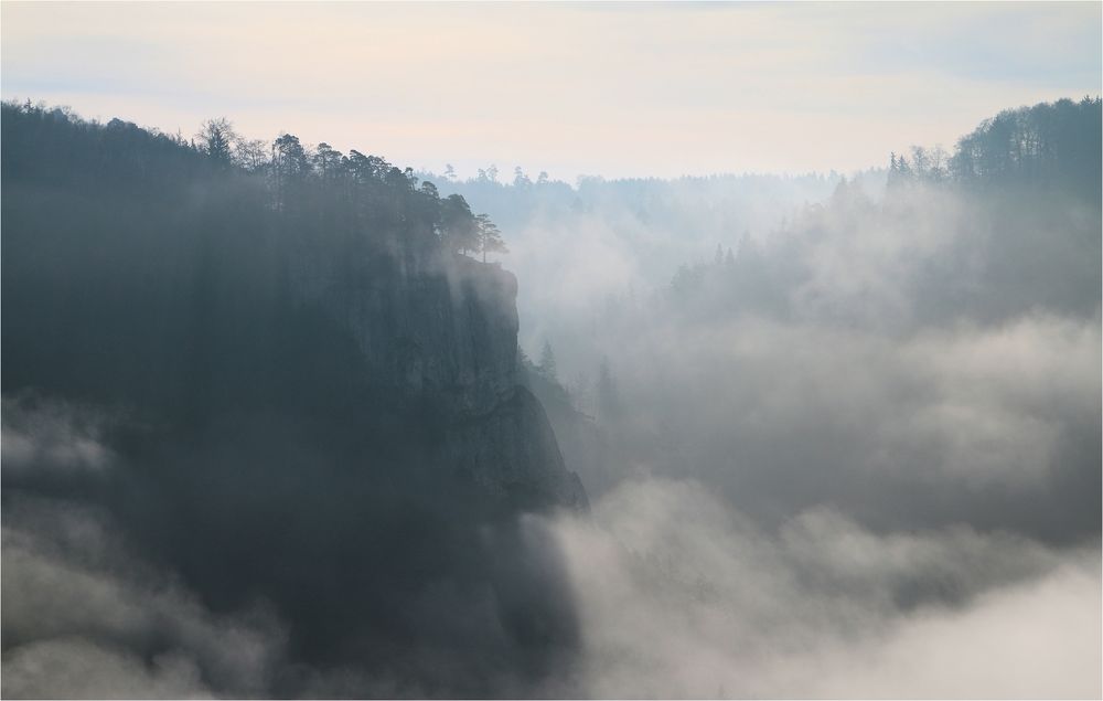 HERBSTNEBEL