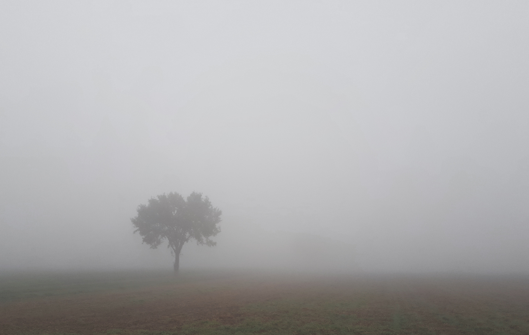 Herbstnebel