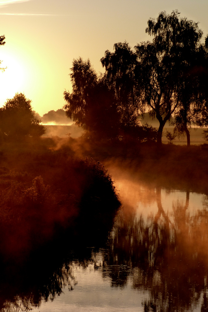 Herbstnebel