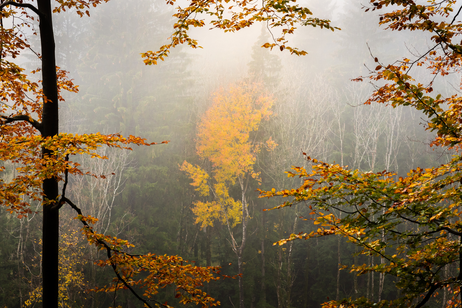 Herbstnebel