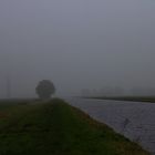 Herbstnebel