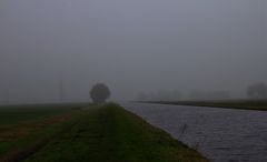 Herbstnebel