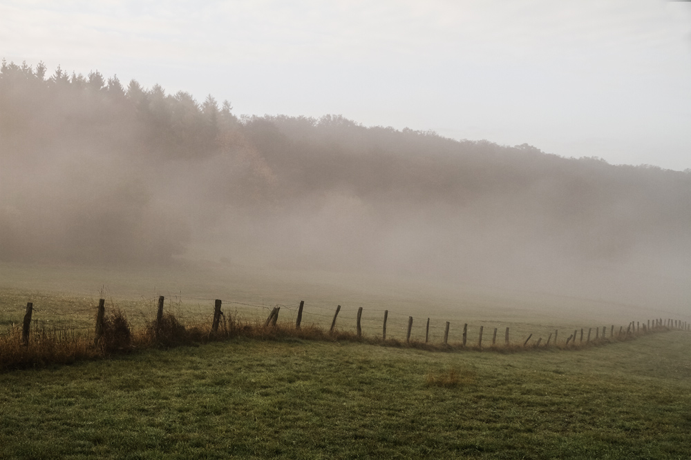 Herbstnebel