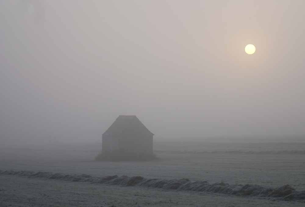 Herbstnebel #5